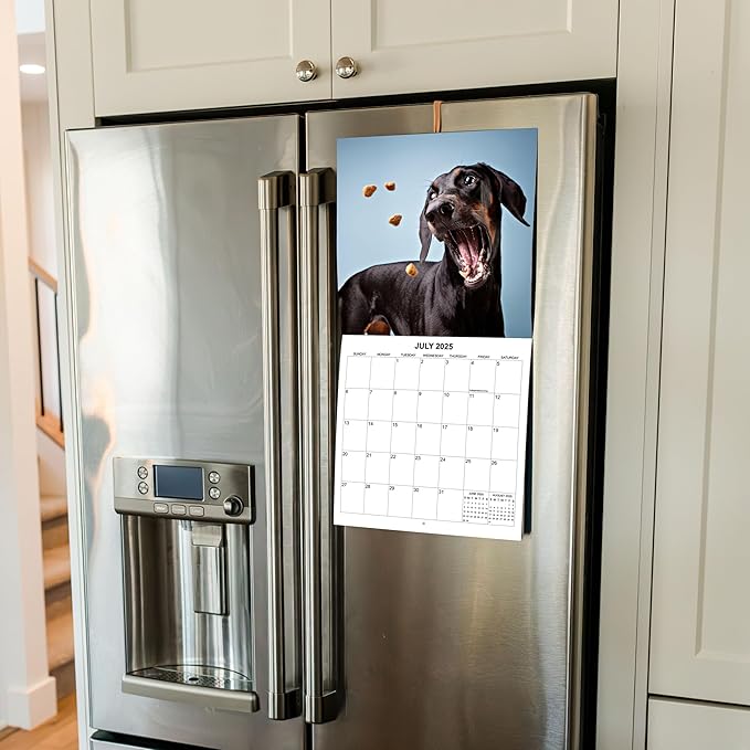 2025 Treat Time Monthly Wall Calendar - Dogs Making Funny Faces Trying to Catch Treats | 12" x 24" | Thick Sturdy Paper | Dog Calendar 2025