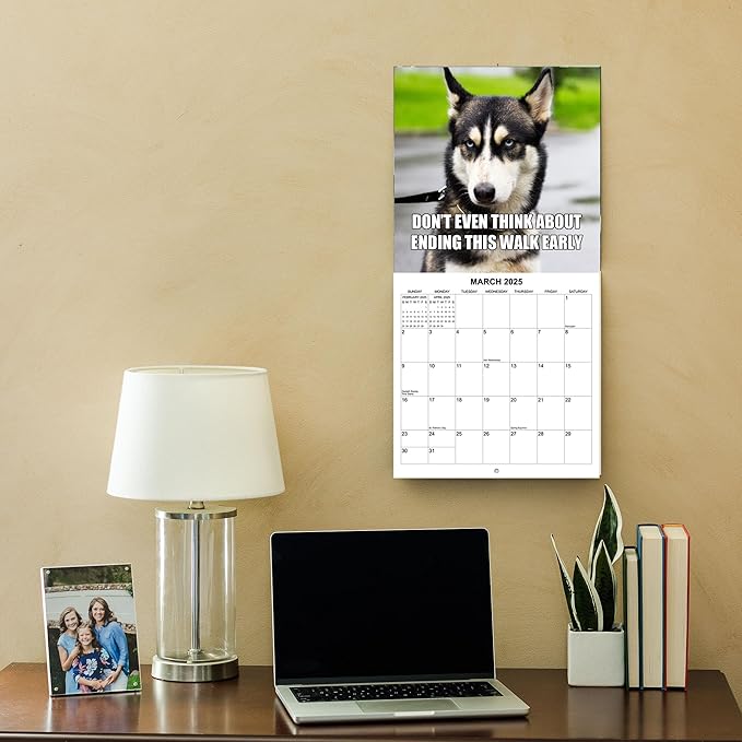2025 Funny Dog Memes Monthly Wall Calendar | 12" x 24" | Thick Sturdy Paper | Dog Calendar 2024-2025
