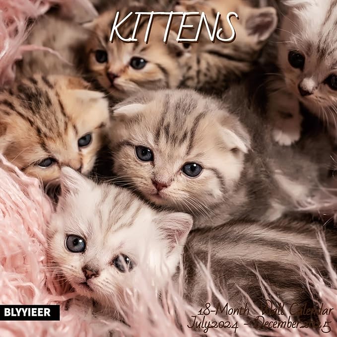 2025 Wall Calendar,Calendar 2025,Kittens Monthly Wall Calendar, 12" x 24" Open,Family Planner Calendar Jul.2024 - Dec.2025 Organizer with Cute kittens Images, for Kitty Cats Lovers