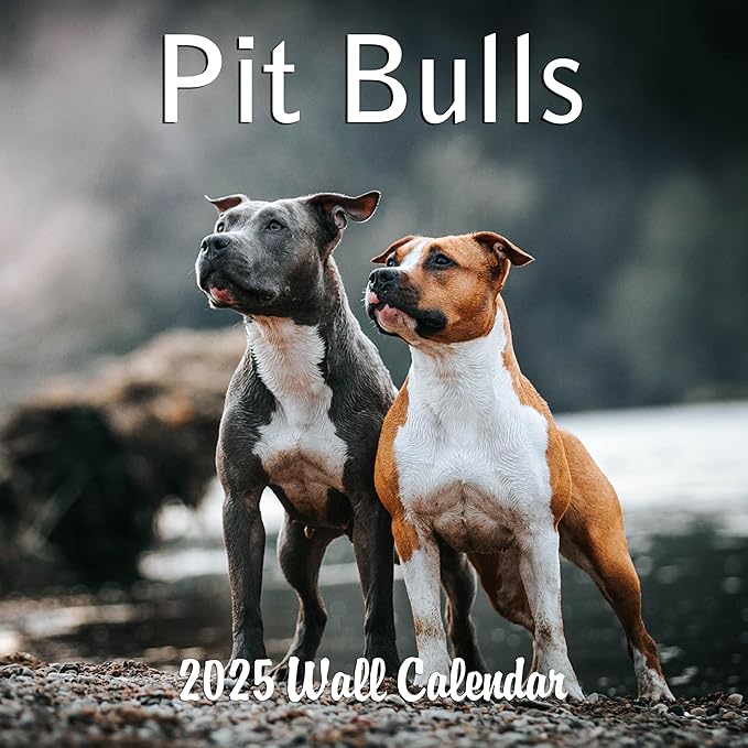 2025 Pit Bulls Monthly Hangable Wall Calendar | 12" x 24" | Thick Sturdy Paper | 2025 Dog Calendar