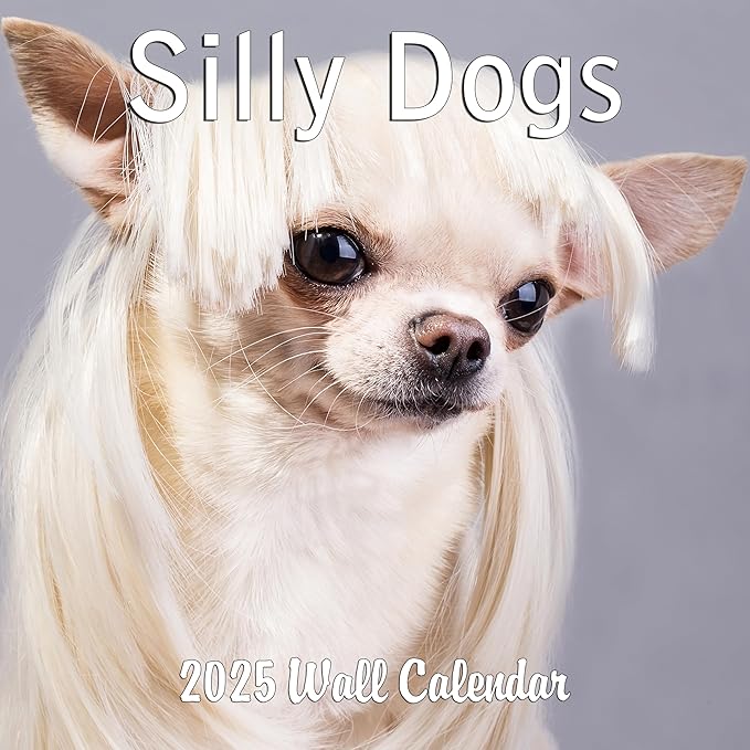 2025 Silly Dogs Monthly Wall Calendar | 12" x 24" | Thick Sturdy Paper | Funny Dog Calendar 2024-2025