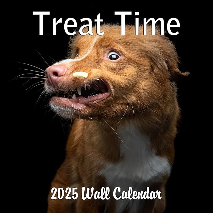 2025 Treat Time Monthly Wall Calendar - Dogs Making Funny Faces Trying to Catch Treats | 12" x 24" | Thick Sturdy Paper | Dog Calendar 2025