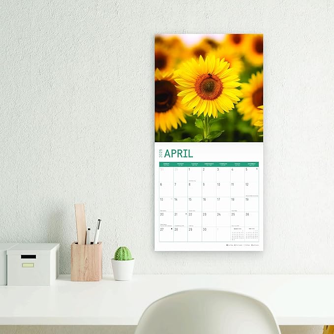 2025 Sunflowers Monthly Wall Calendar by Bright Day, Includes Over 300 Stickers, 12 x 12 Inch