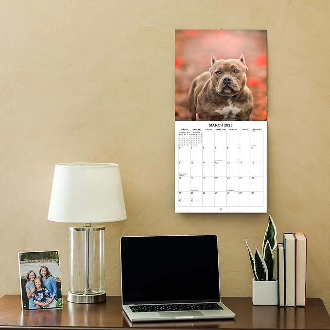 2025 Pit Bulls Monthly Hangable Wall Calendar | 12" x 24" | Thick Sturdy Paper | 2025 Dog Calendar