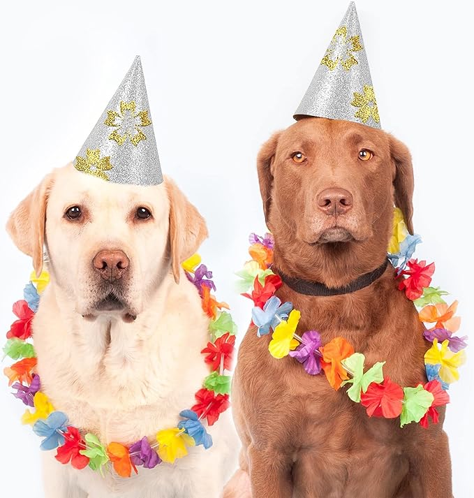 24 Sheets Silver Glitter Cardstock Paper, A4 Premium Sparkly Paper for Scrapbook, DIY Projects, Party Decoration, Gift Box Wrapping 250GSM/92lb