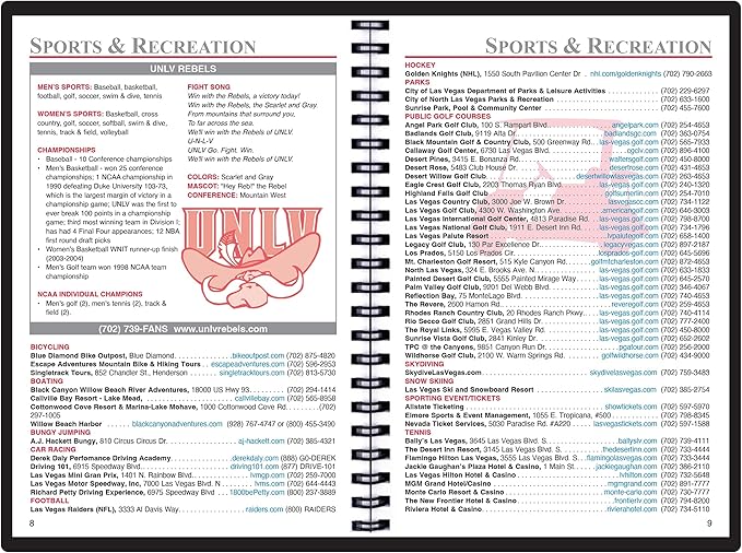 2025 Datebook & City Themed Planner – Resource Guide with Daily, Weekly & Monthly Views – 3-Year Reference Calendar - Multi-Purpose Travel Notebook Guide & Adventure Diary (Las Vegas '25)