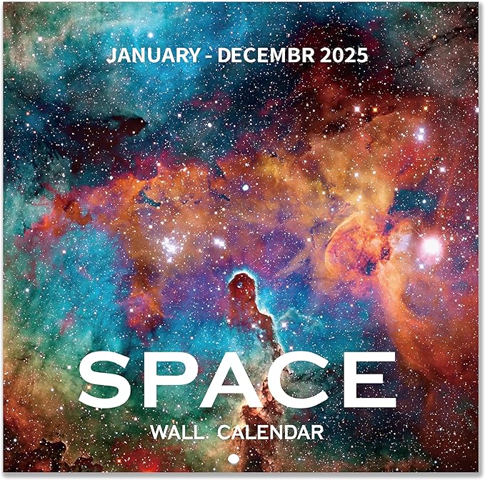 2025 Wall Calendar - 2025 Calendar, 12 Monthly Wall Calendar 2025, January 2025 - December 2025, 12" x 24" (Open), Unruled Blocks(1.2" x 1.7") Calendar 2025 with Thick Glossy Paper