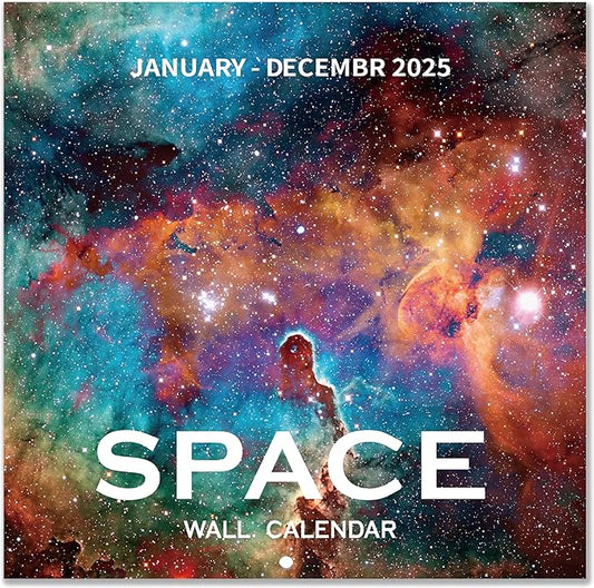 2025 Wall Calendar - 2025 Calendar, 12 Monthly Wall Calendar 2025, January 2025 - December 2025, 12" x 24" (Open), Unruled Blocks(1.2" x 1.7") Calendar 2025 with Thick Glossy Paper