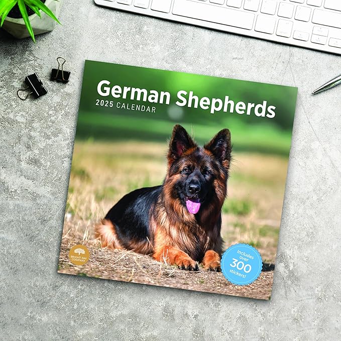 2025 German Shepherds Monthly Wall Calendar by Bright Day, Includes Over 300 Stickers, 12 x 12 Inch