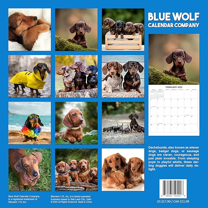 2025 Dachshund Weiner Dogs Monthly Wall Calendar | 12" x 24" | Thick Sturdy Paper | 2025 Wiener Dog Calendar