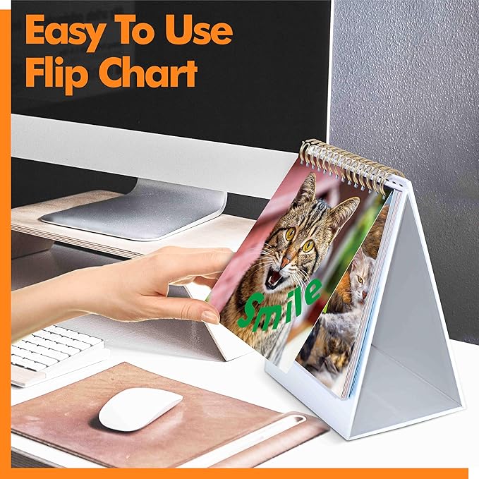 40 Pages Funny Desk Sign, 34 Different Fun and Flip-Over Messages plus 6 Erasable Blank Pages, Funny Desktop Flip Book for Office Gifts Desk Accessories (Cat Design)